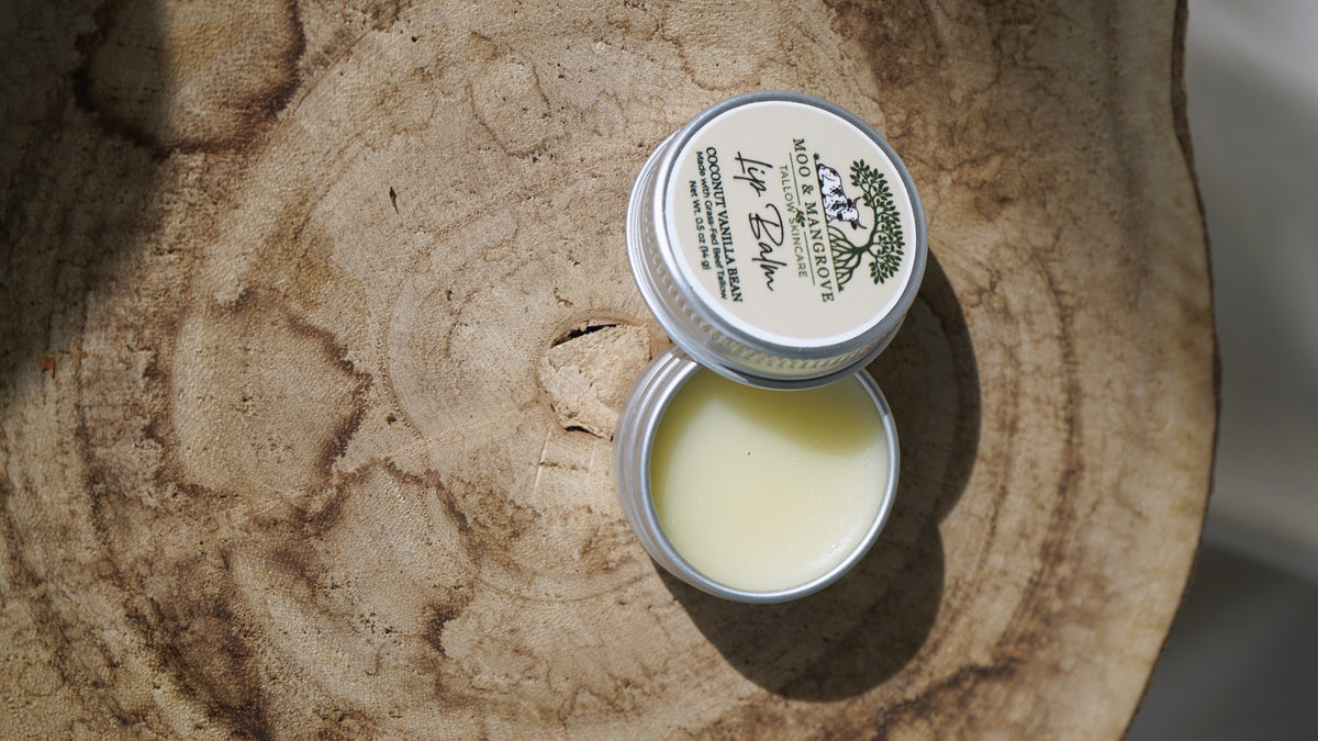 Lip Balm — Coconut Vanilla Bean